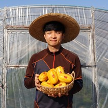 과일꾼 성주 벌꿀 참외, 1box, 가정용 소과 2kg 10-14과