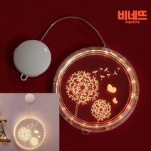 윈도우 3D 착시 LED조명 장식전구 민들레 18구 캠핑용랜턴 건전지전구 무드등