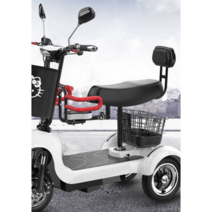 세발 오토바이 어른용 삼륜 전기 바이크 스쿠터 전동, 납산배터리 + 등받이 미포함 에디션