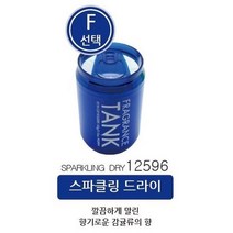 카스틸존 젤타입 일본직수입 일본차량방향제 에프 탱크 빅사이즈 145g (6종- 발향선택)자동차방향제 고급디퓨져 자동차방향제 안전한 디퓨져 일본방향제 일본직수입 일본차량방향제, 1개, 선택-F 스파클링 드라이 12596