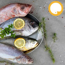 제수용생선세트 부세 민어조기 도미(참돔) 적어(장문볼락) 명절 제사손질생선, 일반세트1