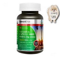 고함량 비타민D5000IU 약6개월분 성인 캐나다비타민D 30대남자영양제 30대여성 20대남성 20대여성 50대남성 40대여성
