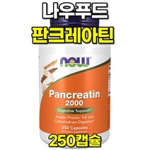 나우푸드 판크레아틴 2000 소화 효소 250캡슐, 1개, 250개