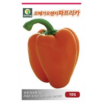 일성 백다다기 오이 씨앗 50립 - 흑침오이 반백오이 오이씨앗 야채씨앗 채소씨앗 채소재배 종묘 종자 베란다 텃밭 씨 씨앗 호박 방울토마, 24_다농_오메가 오렌지파프리카(10립)