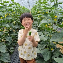 [산지직송][당일수확]GAP인증 미니오이 스낵오이 피클용오이 1kg, 스낵오이 1kg