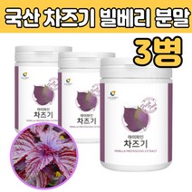 건조 불은 깻잎 타 먹는 보라 갈 색 깨입 가루 분말 주스 유산균 주기 50대 60대 70대 부모님 중년 남성 여성 직장인 빌베리추출 비타민 프락토올릭당 붉은 개 갯 잎 마시는 쉐이크