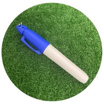 스포츠_ [골프네임펜] 골프공라이너 전용 마킹펜(블루), 블루