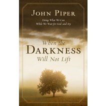 When the Darkness Will Not Lift : Doing What We Can While We Wait for God--and Joy, Good News