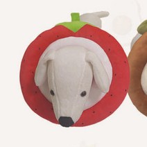 푹신한 쿠션형 중성화수술 강아지 넥카라M 포메라니안 강아지꼬깔 말티즈