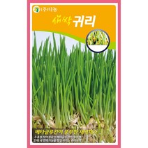 새싹귀리씨앗 12g, 1개