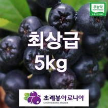 유기농 자연초생재배 초례봉아로니아냉동생과 최상급 5kg / 농장 직배송, 1개