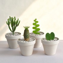 미니선인장 키우기 쉬운 하트호야 피쉬본 파인애플선인장 연필선인장 독일토분, 하트호야+독일토분11호