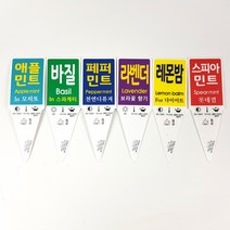 미스터허브 실내공기정화식물 허브 공기청정 미세먼지 제거 인테리어 화분, 5000개, 라벨_스피아민트