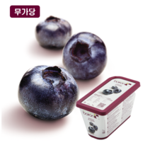 브아롱 블루베리냉동퓨레 1KG