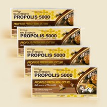 네이쳐스그린웨이 호주 프리미엄 고함량 프로폴리스 5000mg 120캡슐 4개월분 플라보노이드 사은품, 4개