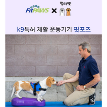Fitpaws 핏포즈 강아지 훈련 노견 슬개골 디스크 허리 재활 치료 운동 짐볼 K9FITbone, 미듐 1세트, 아쿠아