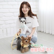 리토가토 러비 커스텀 캐릭터 강아지 하네스 옐로우 (컴퓨터 자수) 동물학교 추천
