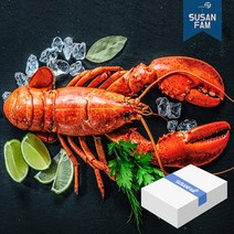 캐나다 프리미엄 자숙 랍스터 4.54kg 박스 바닷가재 랍스타 버터구이, 4.54kg 350-400사이즈 박스