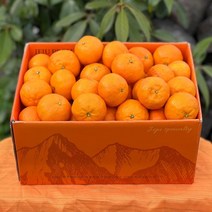 카라향 제주 감귤 귤로향 1kg 2kg 4.5kg, 중과(20-25과), 1개