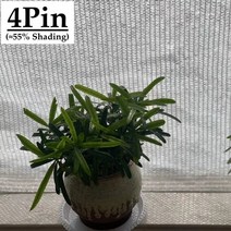 코스트코천막 햇빛차단막 그늘막쉐이드 이동식천막 주차천막 행사용천막 40 55 음영 hdpe 안티 uv 흰색 태양 그늘 그물 전망대 쉼터 야외 농업 정원 즙이 많은 식물 차양, 4핀 화이트, 6mx5m