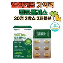 부모님 기억력개선 나이아신 비타민b6 b1 b2 아연 판토텐산 플라보놀배당체 L-로이신 알라닌 발린 60대