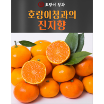 고당도 진지향 제주 서귀포 제철 감귤 설국향 블로초 카라향 1.5kg 3kg, 진지향 3kg