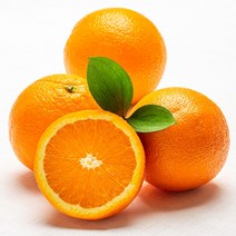 오렌지30과 구매전 가격비교 정보보기