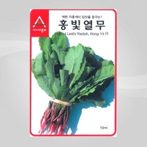 슬로시 무씨앗 홍빛열무6g 씨앗 아시아, 홍빛열무6g(아시아)