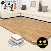 일월 온돌마루 카페트매트 홈쇼핑 온수매트, 온돌마루 온수매트 (소형)