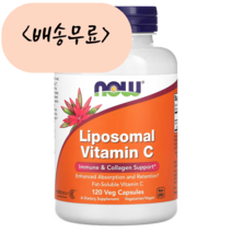 리포조말 비타민C 리포솜 나우푸드 리포좀 비타민씨, 1개