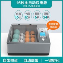 부화기 입문용 2021년 신상품 조류 자동 부화 병아리 계란부화기 36란 실험, 6. 계란 부화기 16란(더블 전기 자동)