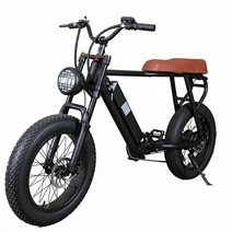 MTB자전거 가성비좋은 튼튼한 산악 입문용 20FG 성인 산악 자전거 20 인치 500W 전기 48V 15Ah 리튬 배터, 01 Standard