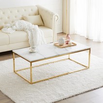 [(주)티에스퍼니처] TS 에일린 큐브 골드 거실테이블 1200, 선택:마블 대리석