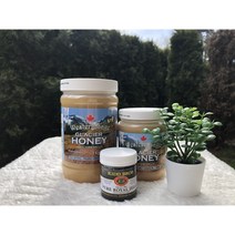 [해외직구캐나다공식구매대행업체] 웨스턴 세이지 Western Sage 캐나다 로키 자연산 석청꿀 아이스허니 500g 1kg, 시나몬, 1개