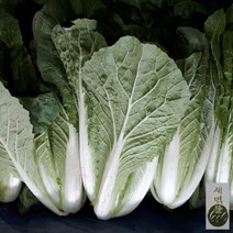 새벽들 얼갈이 배추(2kg 4kg), 1box, 4kg