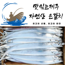 맛있는제주자연산 은갈치 왕 Size5지 13미, 왕 4마리(16토막)