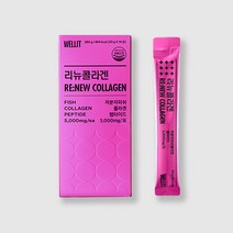 웰릿 리뉴 피쉬 콜라겐 펩타이드 콜라겐/히알루론산, 14포, 4개