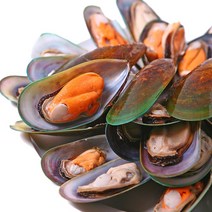 바다몰 뉴질랜드 자숙 초록입홍합 그린홍합 800g, 1팩
