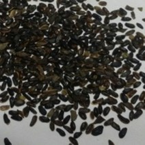 백도라지씨앗50g, 1개