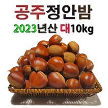 대10kg 공주밤 정안밤 알밤 햇밤 고맛나루밤 맛 대보 생율 햇 국산 특산물 간식 특산품 왕밤