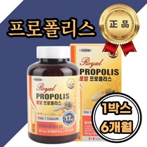 프로폴리스 캐나다 플라보노이드 잇몸 염증 에좋은 잇몸재생 치아건강 입속 구강냄새 구취 영양제 중년 장년 50대 60대 PROPOLIS 프로폴 폴리폴리스 프로폴리스꿀 면역력 환절기