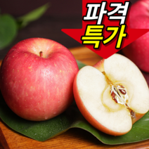 [파격특가]민생기획 설탕즙가득 농사대박