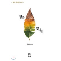 청춘 도다리:삶의 무대에 서다, 생각수레, 윤효식 저