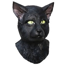 고양이 검은 마스크 가면 흰 캣 공연 무대 대학로, 불행한 백인
