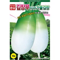 (아시아종묘/무씨앗종자) 가을김장무(12g) 무말랭이용, 1개