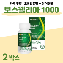 인도산 초록입 보스웰리아 초록 홍합 하루 2알 울금 글루코사민 상어 연골 홈쇼핑 영양제 프리미엄 성분 가격 효능 비교 부모님 엄마 아빠 어르신 선생님 등산 조깅 트래킹, 2개, 1.064g