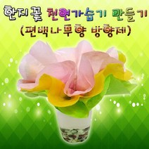 집콕과학 한지꽃 편백나무향 천연가습기 만들기 5세트