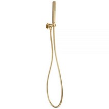 Pfister LG16-2NCK Contempra 3피스 핸드샤워 브러시드 니켈, Brushed Gold