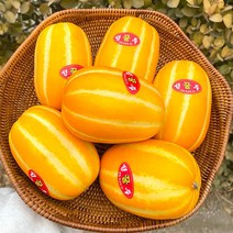 경상북도 성주군에서 생산된 고당도 제철 성주 꿀참외, 로얄과 4kg (14과내외)