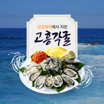 고흥석화 고흥각굴 생굴 석화 고흥석화굴 3kg 5kg 10kg